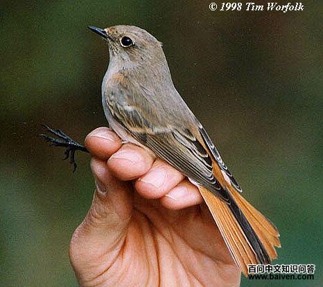 �챳��β𶣺���������½���