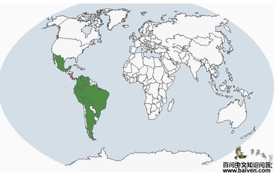 ���ƻ���