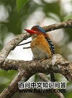 ��ߴ�������ͼƬ