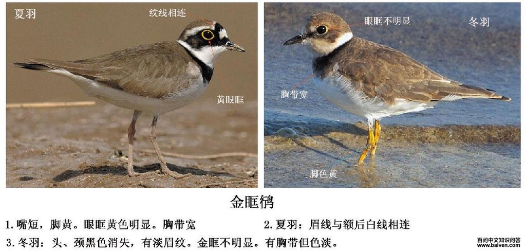 �a��������a