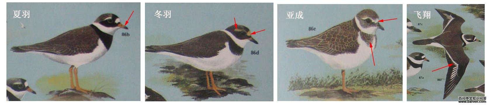 �a�������a