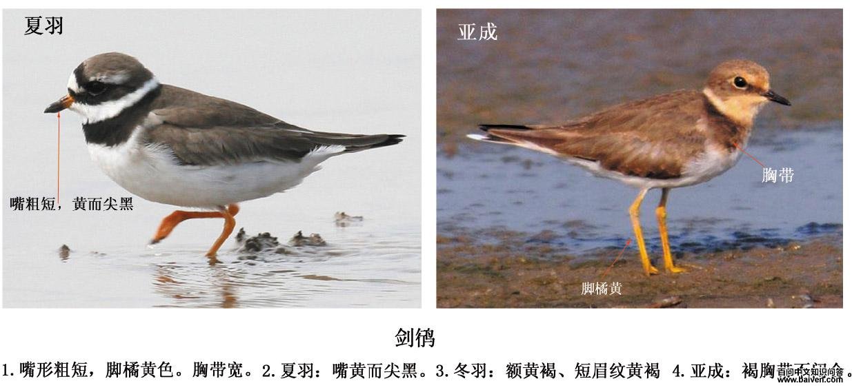 �a�������a