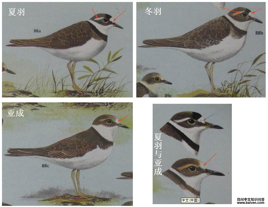 �a�������콣�a