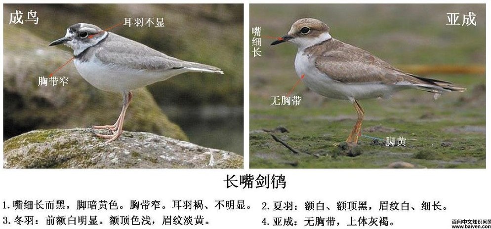 �a�������콣�a