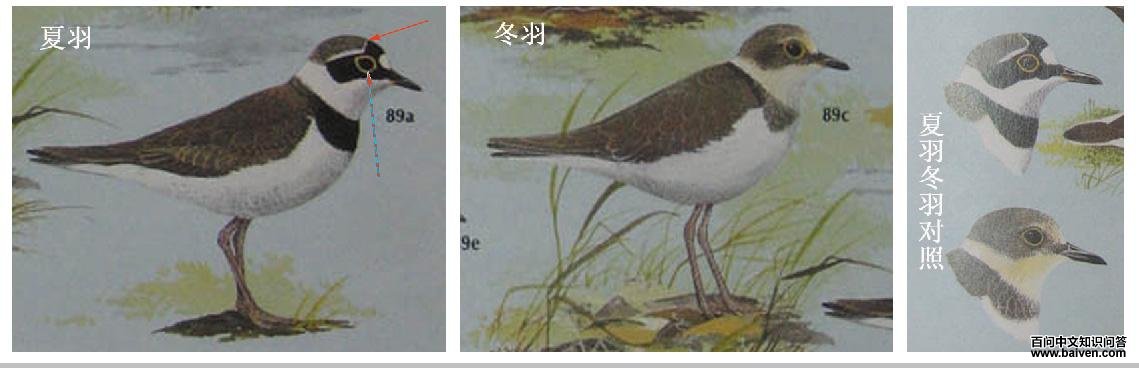 �a��������a