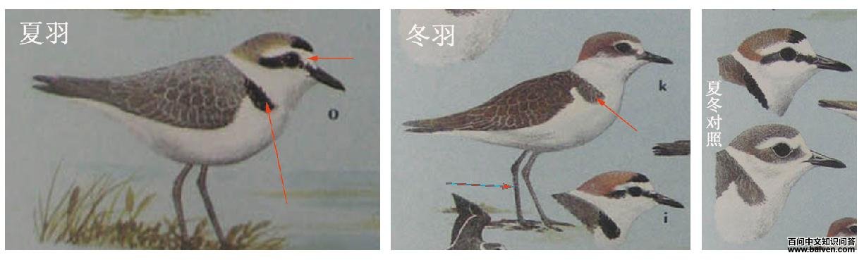 �a���������a