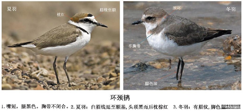 �a���������a