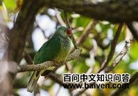 �ൺ����ͼƬ