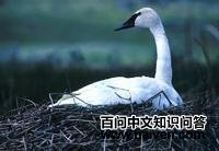 ��������ͼƬ