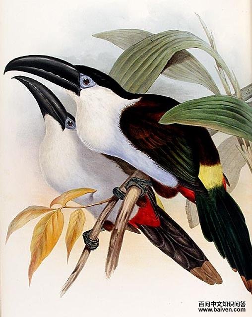 ����ɽ�������ͼƬ