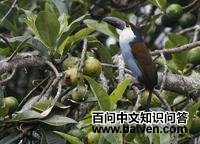 ����ɽ������