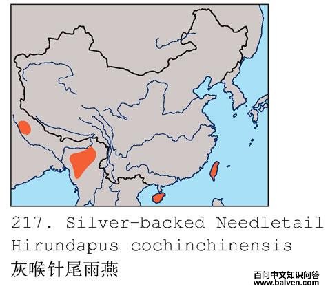 �ױ���β���ࣺ�����ֲ�ͼ