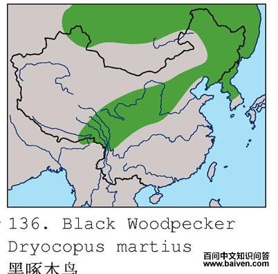 ����ľ��