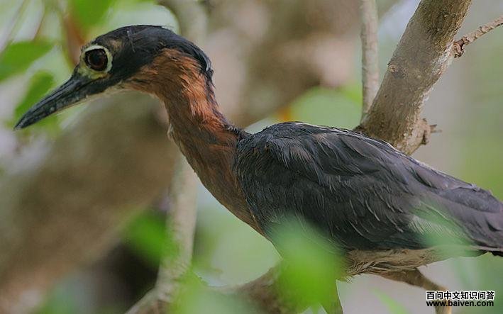 �ױ�ҹ�ص�ͼƬ