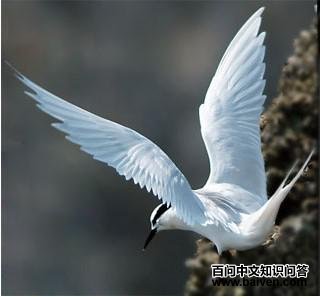 ������Ÿ