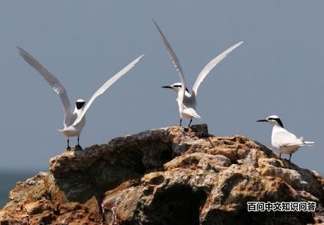 ������Ÿ