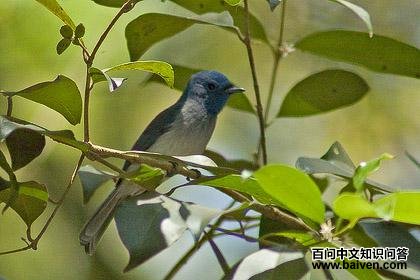 �������l����ͼƬ