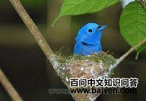 �������l��