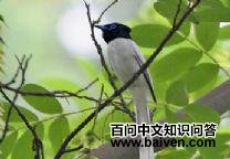 �������l��