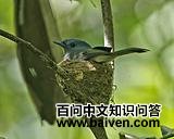 �������l