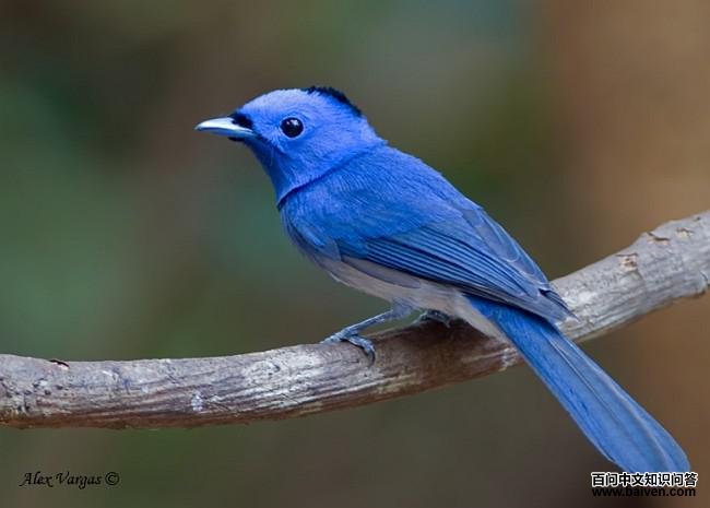 �������l��ͼƬ