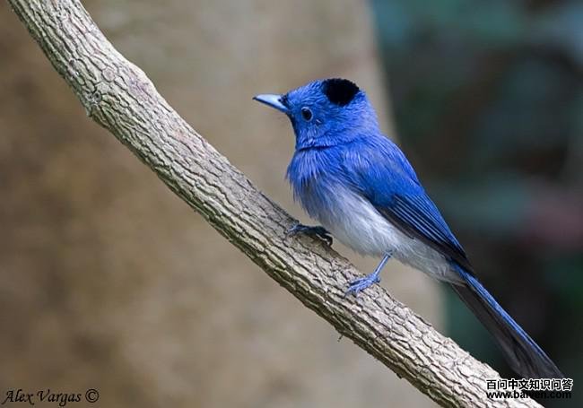 �������l������