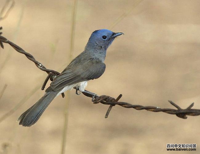 �������l������