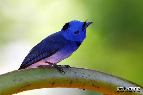 �������l����