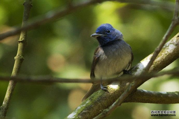 �������l