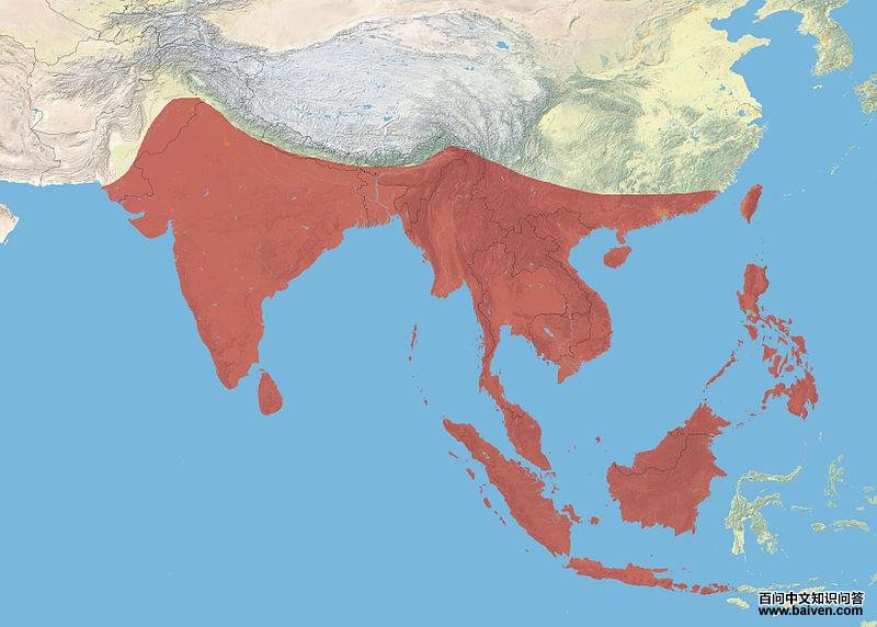 �������l�������ֲ�ͼ