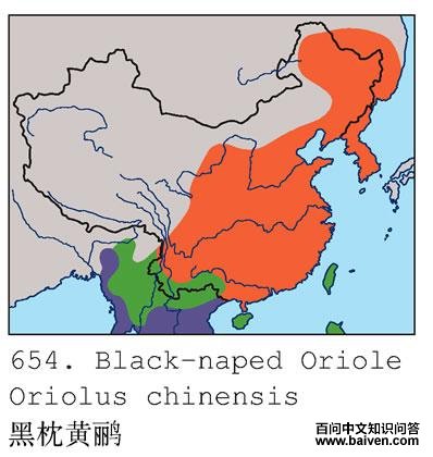 ������𿣺�����ֲ�ͼ