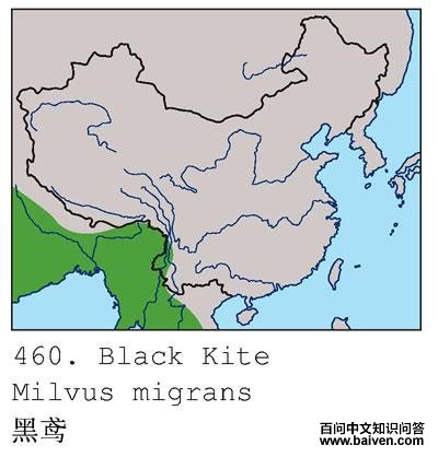 ��𰣺�����ֲ�ͼ