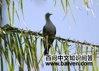 �������ͼƬ