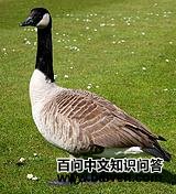 ���ô����