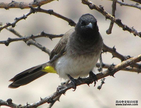 �����ǵ�ͼƬ