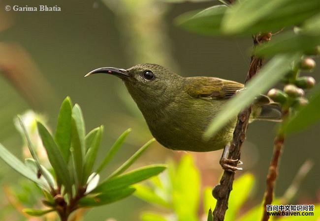 ����̫���񣺴���