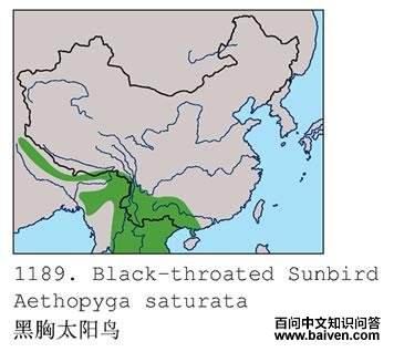 ����̫����