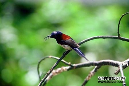 ����̫����