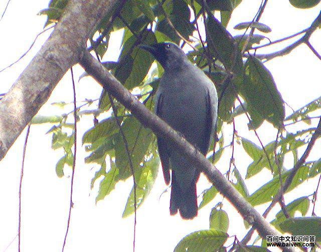 ���ؾ��V��ͼƬ