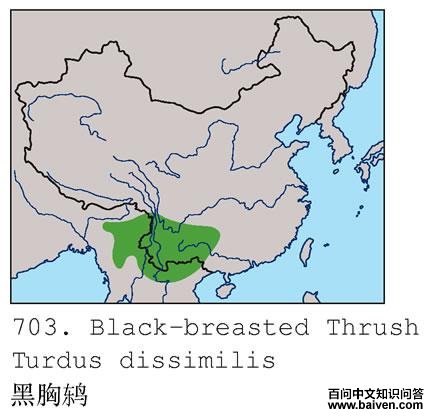 ����𴣺�����ֲ�ͼ