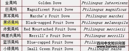 �������ͼƬ