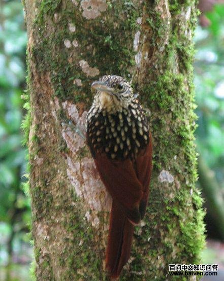 ������ȸ