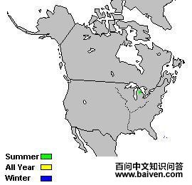 ���Ʊ���ݺ