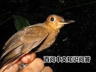 ��βӲβȸ��ͼƬ