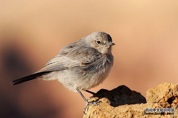 ��β���S��ͼƬ