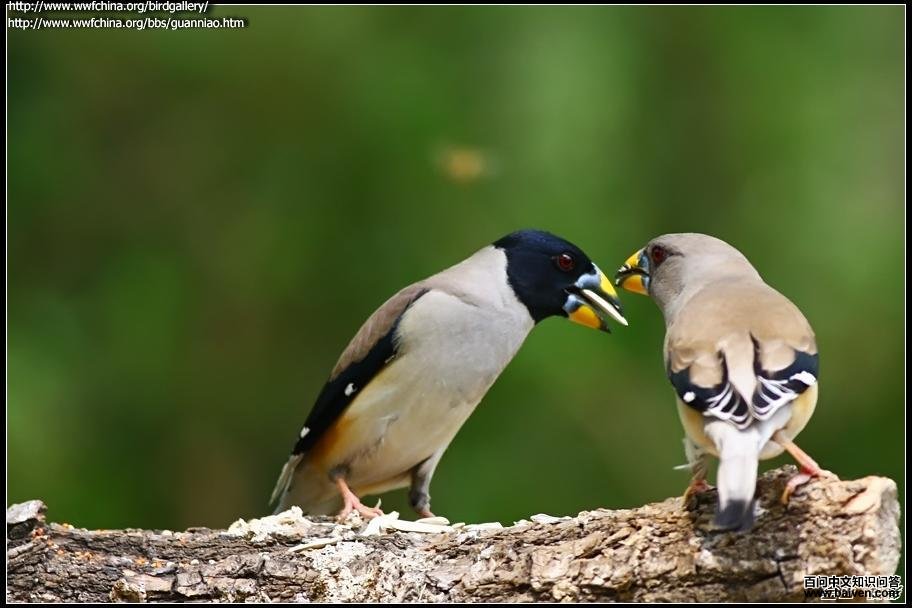 ��β����ȸ