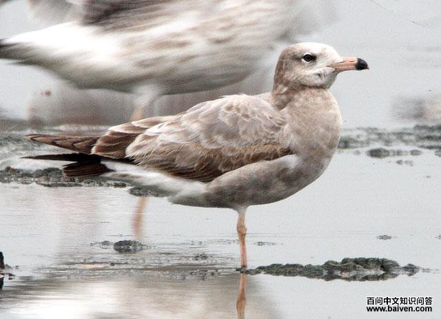 ��βŸ����һ������ۺ�