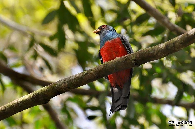 ��β����ҧ���ͼƬ