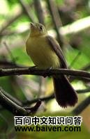 ��β�������l��ͼƬ