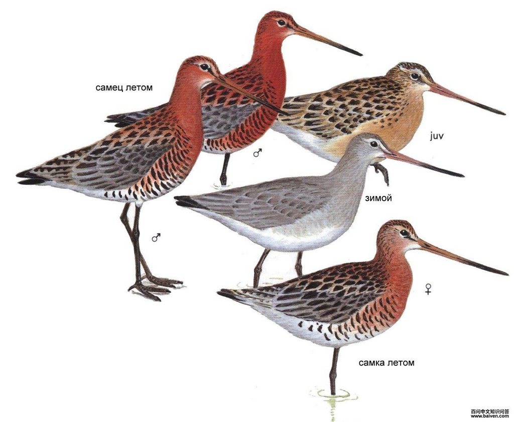 ��β���֣���̬����ͼ